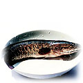 food-fish-snakehead.jpg (11759 bytes)