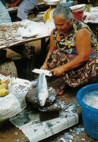 C. micropeltes prepared for food